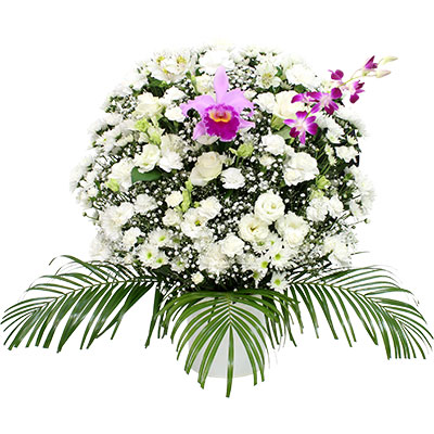 洋花(ホワイト)