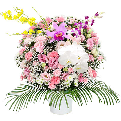 洋花(ピンク)