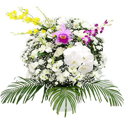 洋花(ホワイト)