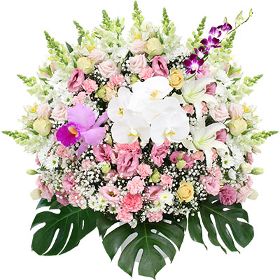 洋花