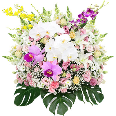 洋花